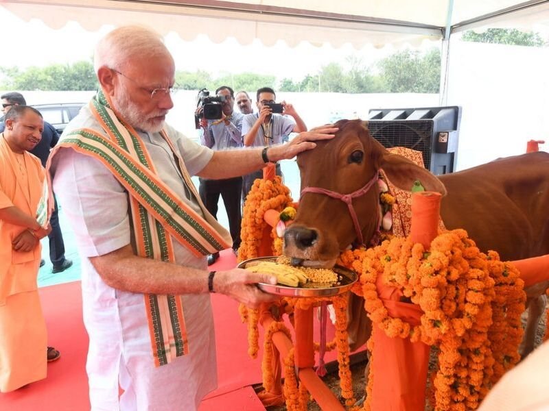 Photo of PM to launch National Animal Disease Control Programme for Foot and Mouth Disease and Brucellosis