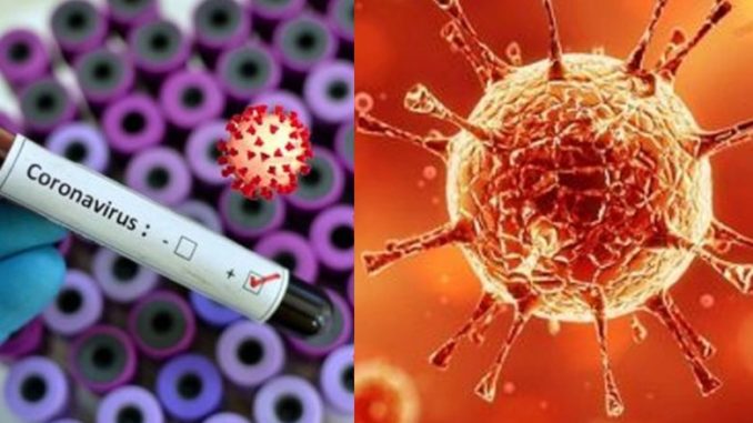New low-cost novel coronavirus test developed New low-cost novel coronavirus test developed