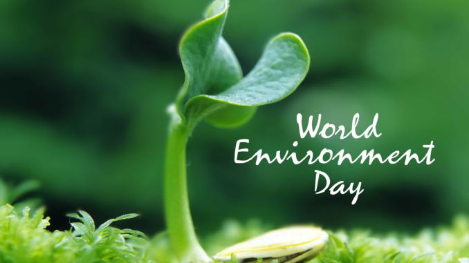 Virtual celebrations of the World Environment Day with focus on Urban Forest Virtual celebrations of the World Environment Day with focus on Urban Forest