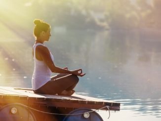 Central Council for Research in Yoga and Naturopathy Conducts webinar on Yoga and Immunity