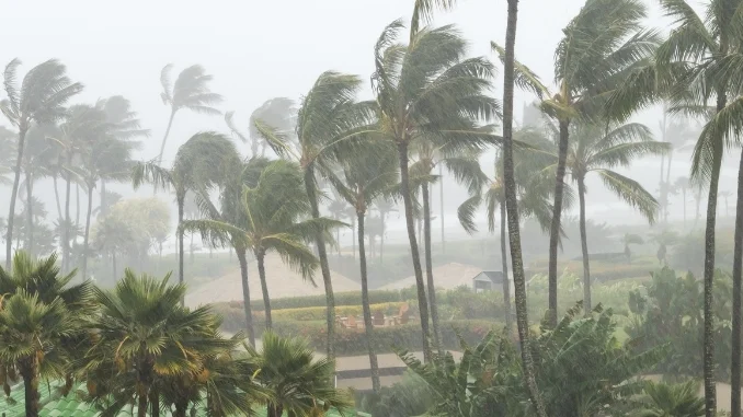 Nivar Cyclone may cross Mahabalipuram and Karaikal by early hours of Nov 26