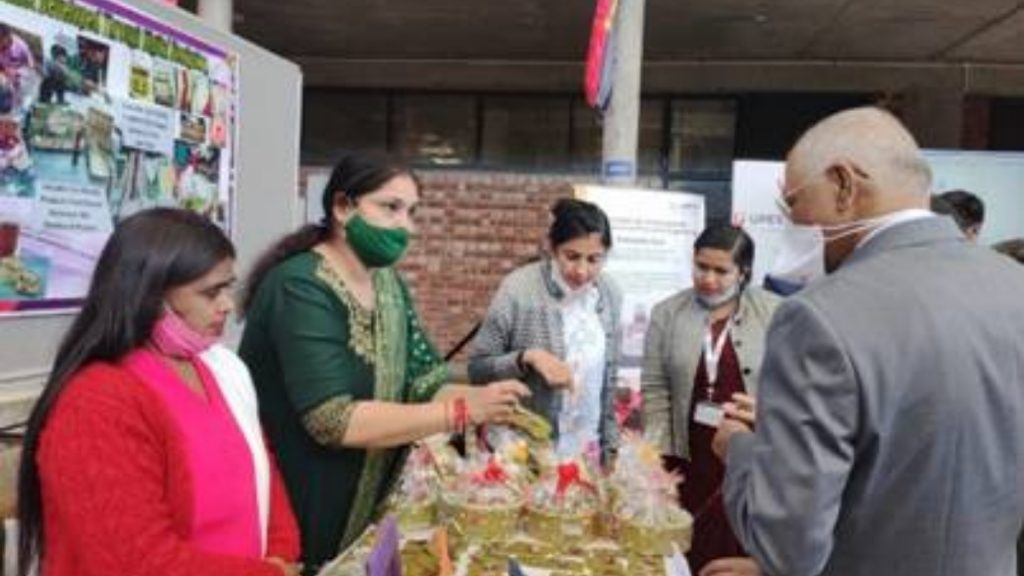 Women Technology Parks give wings to self-reliance dreams of rural women