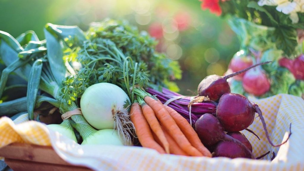 Vegetarians have healthier levels of disease markers than meat-eaters: Study