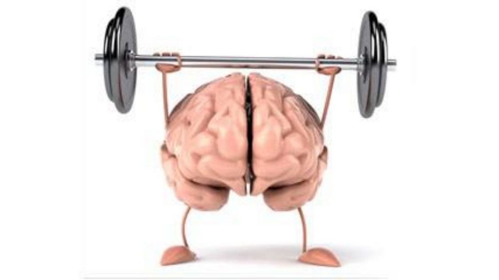 Neural stem cells in the prenatal brain seem to have tighter 'quality control' than cells in other parts of the body