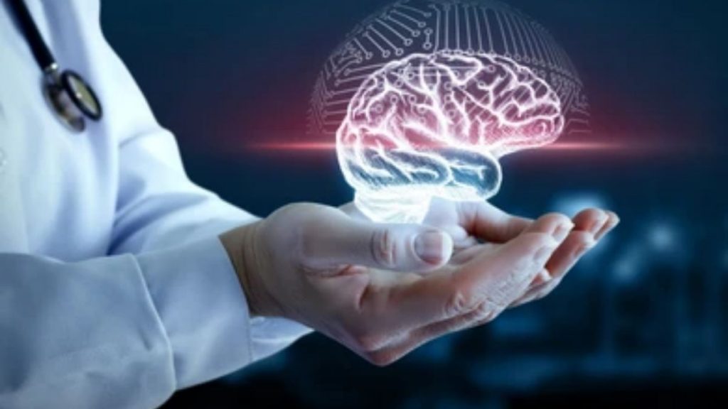 Neural stem cells in the prenatal brain seem to have tighter 'quality control' than cells in other parts of the body