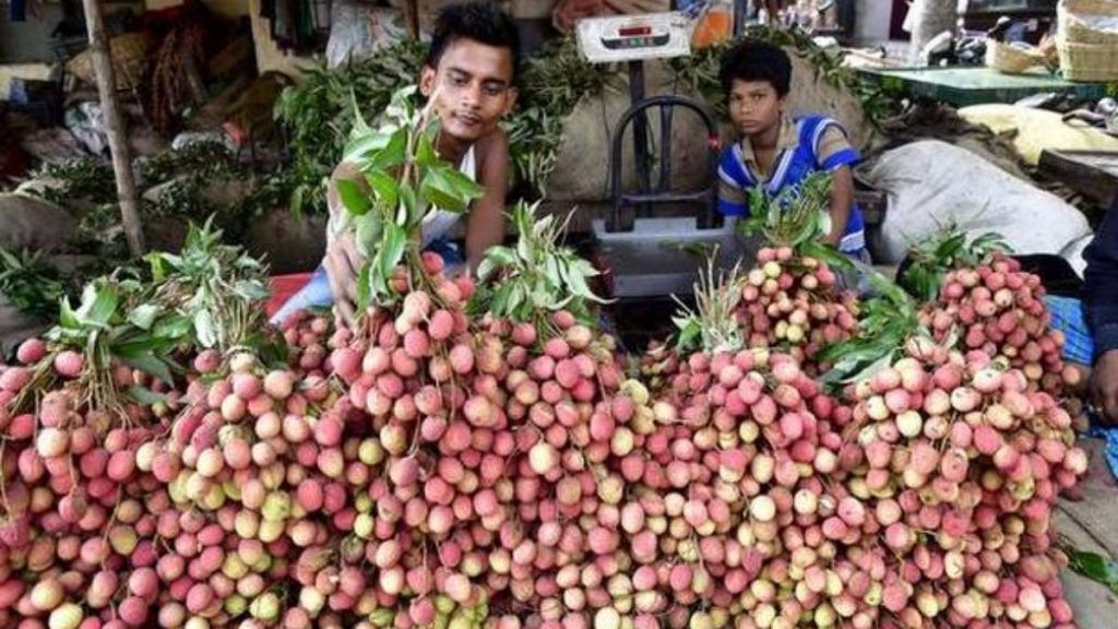 The first consignment of GI certified Shahi Litchi from Bihar exported to the U.K