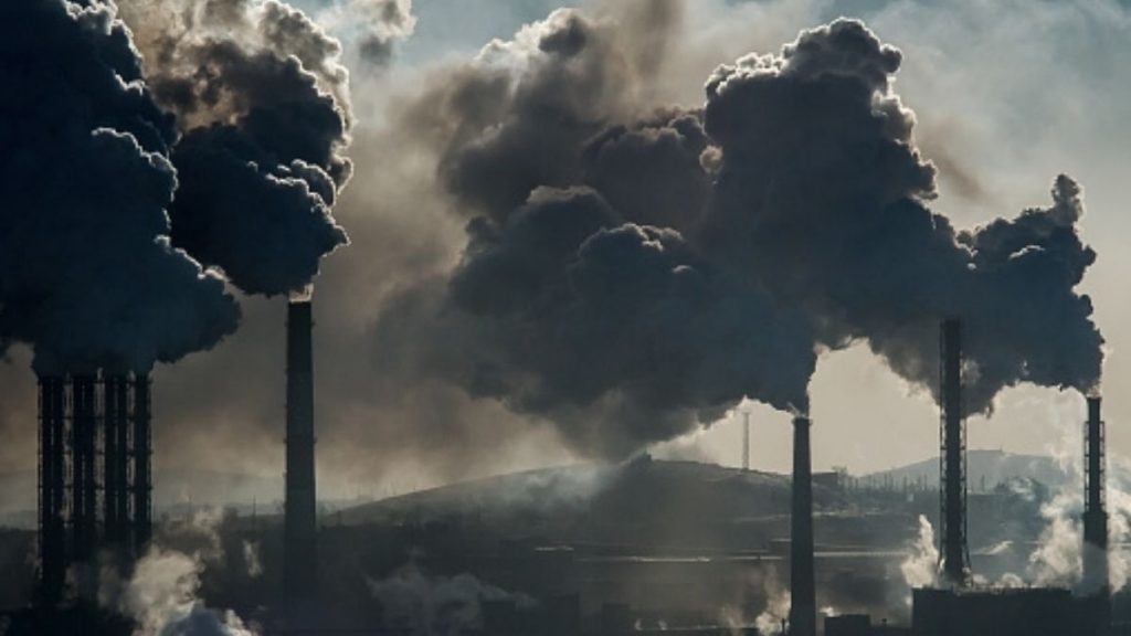 Ministry of Power decides to set up a National Mission on the use of Biomass in coal-based thermal power plants