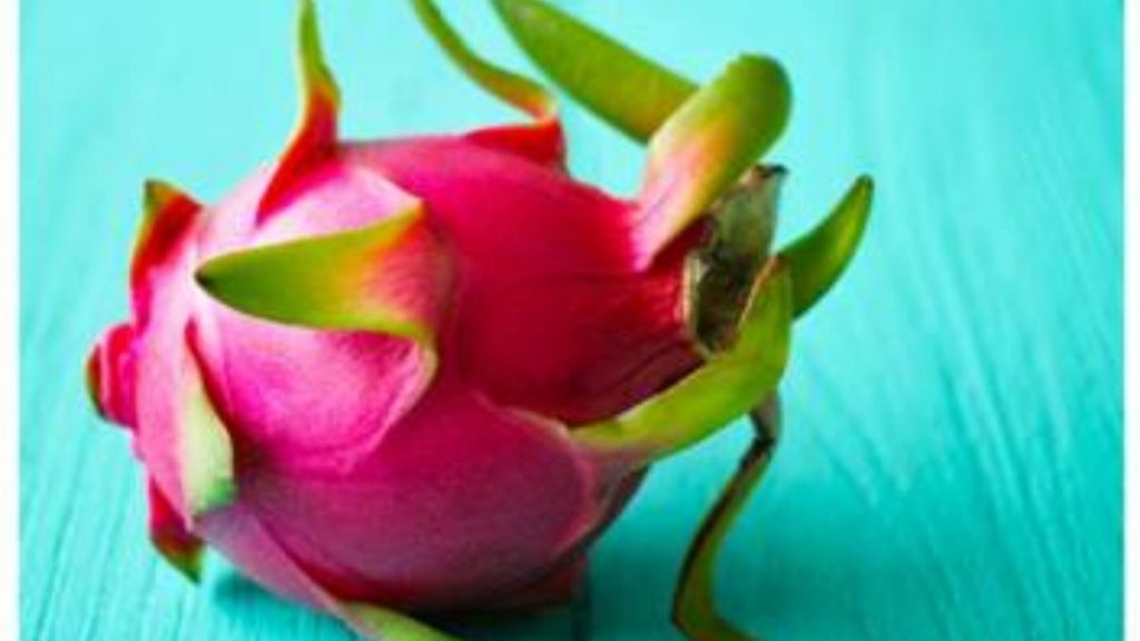 Exotic dragon fruit or Kamalam from Maharashtra exported to Dubai