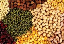 Self Sufficiency in Production of Oilseeds and Pulses