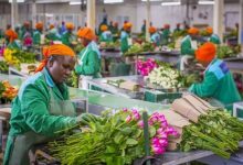 Strengthening Agricultural Market Infrastructure