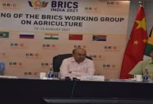 Photo of BRICS Partnership for Strengthening Agro Biodiversity for Food and Nutrition Security