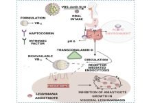 Non-invasive, easy to administer, cost-effective bio-nanocarrier can enhance oral bioavailability and efficacy of Visceral Leishmaniasis therapy