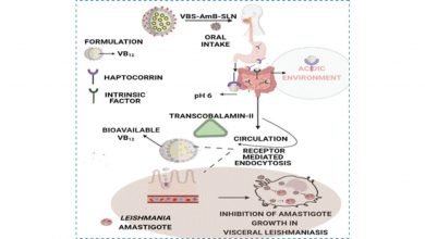 Non-invasive, easy to administer, cost-effective bio-nanocarrier can enhance oral bioavailability and efficacy of Visceral Leishmaniasis therapy