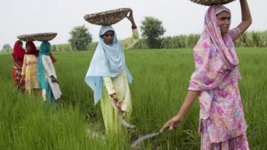 Schemes for Women Farmers