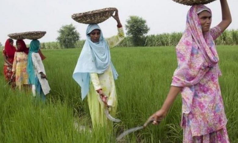 Schemes for Women Farmers