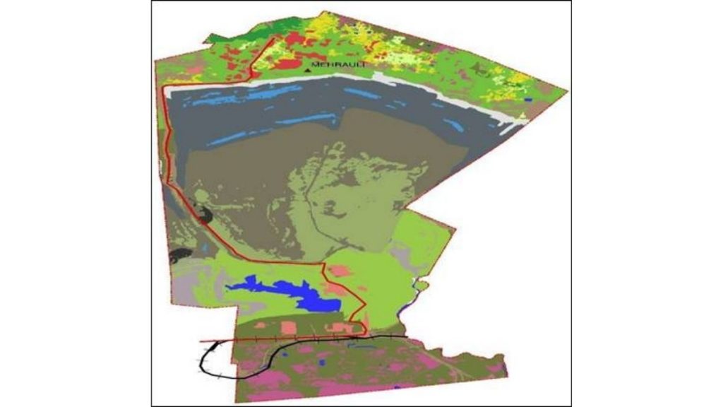 Coal Project enhances Green Cover under Mission Mode
