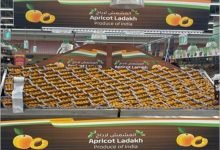 Photo of In a major boost to agricultural products exports, the First consignment of Ladakh Apricots exported to Dubai
