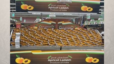In a major boost to agricultural products exports, the First consignment of Ladakh Apricots exported to Dubai