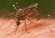 Centre rushes multi-disciplinary team to Kanpur, Uttar Pradesh where a case of Zika Virus Disease has been reported