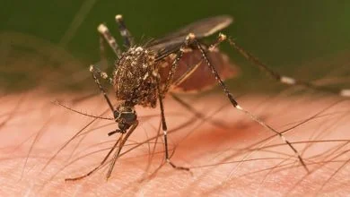 Centre rushes multi-disciplinary team to Kanpur, Uttar Pradesh where a case of Zika Virus Disease has been reported