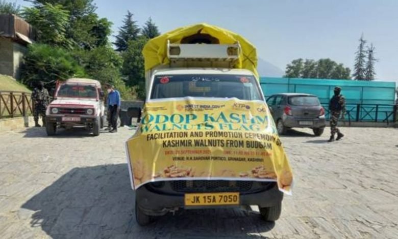 First consignment of Kashmiri walnuts from Budgam despatched