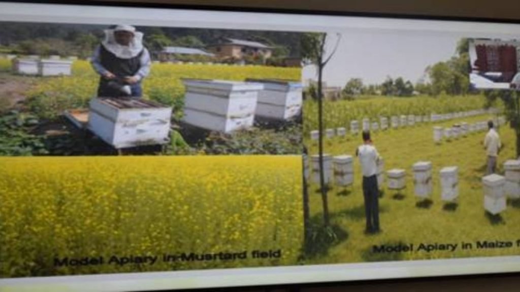 Shri Arjun Munda will launch a pictorial chronicle on Van Dhan programme and 14 Honey Farmer Producer Organisations (FPOs) tomorrow