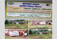 Photo of DAY-NRLM celebrates Agri Nutri Garden Week as part of Azadi Ka Amrit Mahotsav