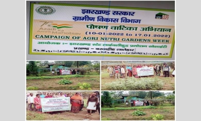 DAY-NRLM celebrates Agri Nutri Garden Week as part of Azadi Ka Amrit Mahotsav