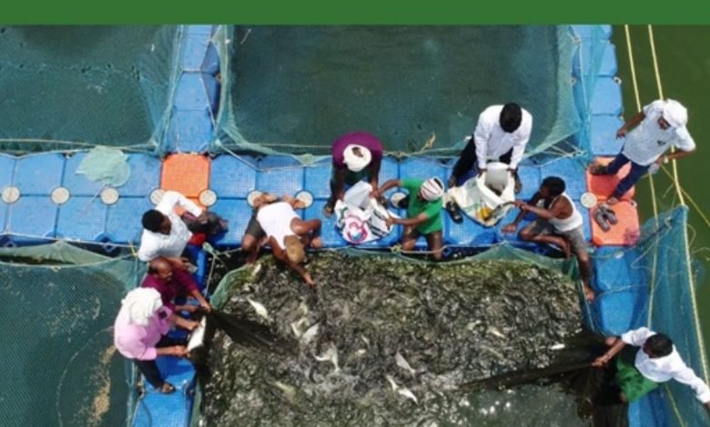 Govt organises a webinar on 'Cage aquaculture in Reservoir