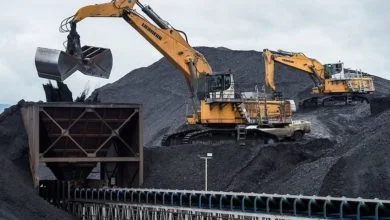 Coal Production Records 6.13 Per Cent Increase to 79.60 Million Ton in January