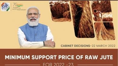 Photo of Cabinet approves Minimum Support Price of Raw Jute for 2022 -23 season