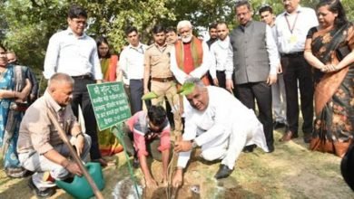 Photo of From Minister to Officials, Media to people, everyone plants together 75 saplings on International Day of Forests at National Zoological Park