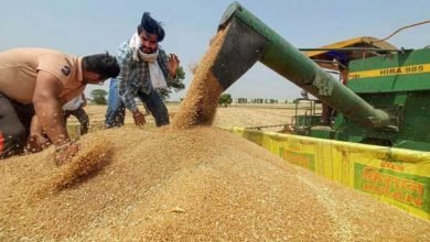 Centre extends wheat procurement season, asks States/UTs and FCI to continue wheat procurement till 31st May