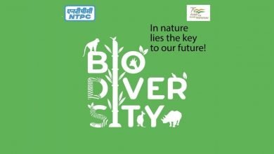Photo of NTPC releases Biodiversity Policy for conservation and restoration of biodiversity