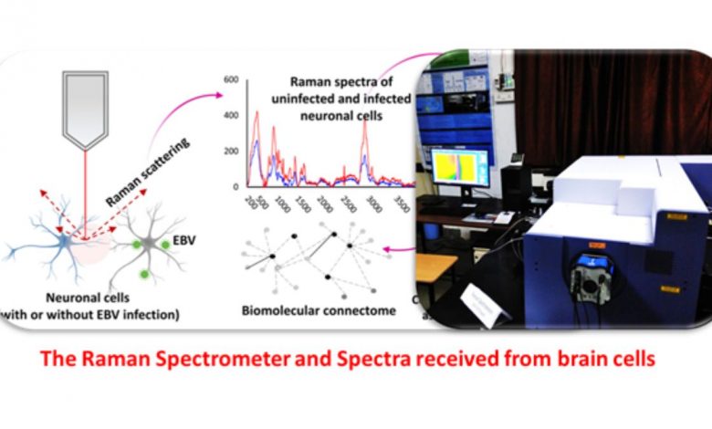 Connecting the dots between virus infection and progress of brain cancer