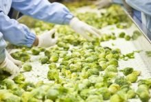 Growth of the Food Processing Industry