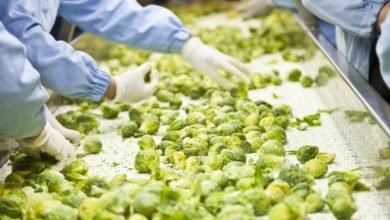 Growth of the Food Processing Industry