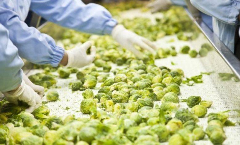 Growth of the Food Processing Industry