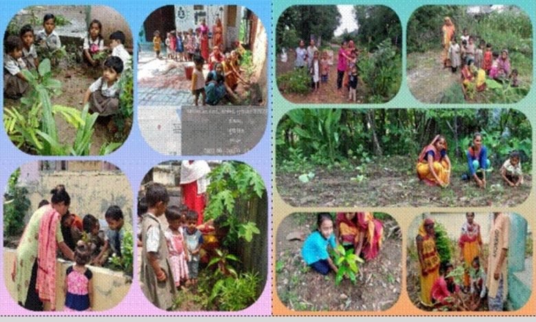 Poshan Vatikas or Nutri- gardens are being set up across the country to provide easy and affordable access to fruits, vegetables, medicinal plants and herbs