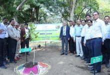 NMDC organises Plantation at Landscape Garden and adopts two Tigers as part of Swachhta 2.0