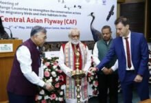 Meeting of Range Countries to strengthen conservation efforts for migratory birds and their habitats in the Central Asian Flyway (CAF)