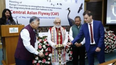 Meeting of Range Countries to strengthen conservation efforts for migratory birds and their habitats in the Central Asian Flyway (CAF)