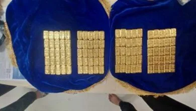 DRI and India Coast Guards seize over 32 kg gold worth Rs 20.21 crore in two cases in Tamil Nadu