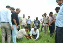 Conservation of Aravalli Ecosystem- plantation of native and endemic species by DGGI in New Delhi