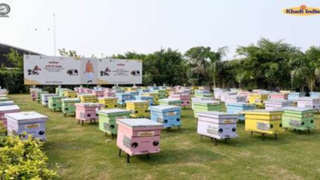 Delhi Lieutenant Governor distributes Honey Bee-Boxes and Toolkits to 130 beneficiaries under 'Gramodyog Vikas Yojna'