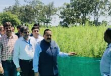 Jammu to pioneer India's first Cannabis Medicine Project