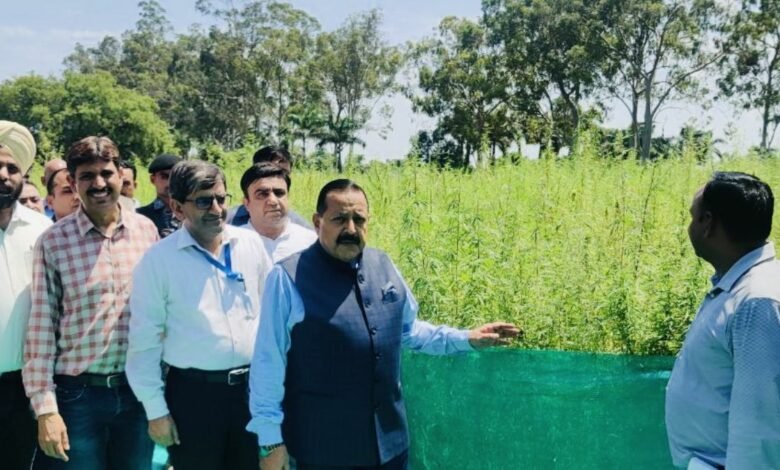 Jammu to pioneer India's first Cannabis Medicine Project