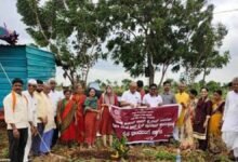 Mega Oil Palm Plantation drive organized in 49 districts of 11 states