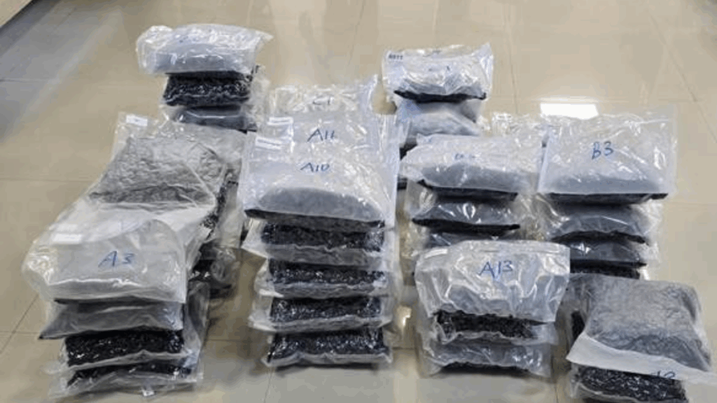 DRI seizes 72 kg of hydroponic weed worth around Rs. 72 crore in a pan-India Operation named “WeedOut”