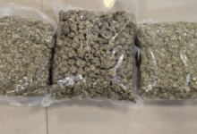 DRI seizes 72 kg of hydroponic weed worth around Rs. 72 crore in a pan-India Operation named “WeedOut”